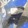 yumi icon